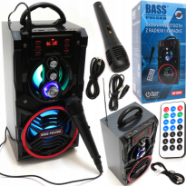 Bluetooth reproduktor s rádiem a funkcí karaoke BASS