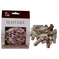 Maitake-trsnatec lupenitý (Grifola frondosa) 20 ks - podhoubí na kolících